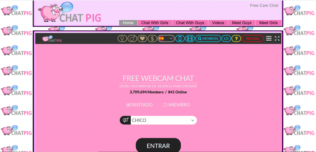 Chat pig com