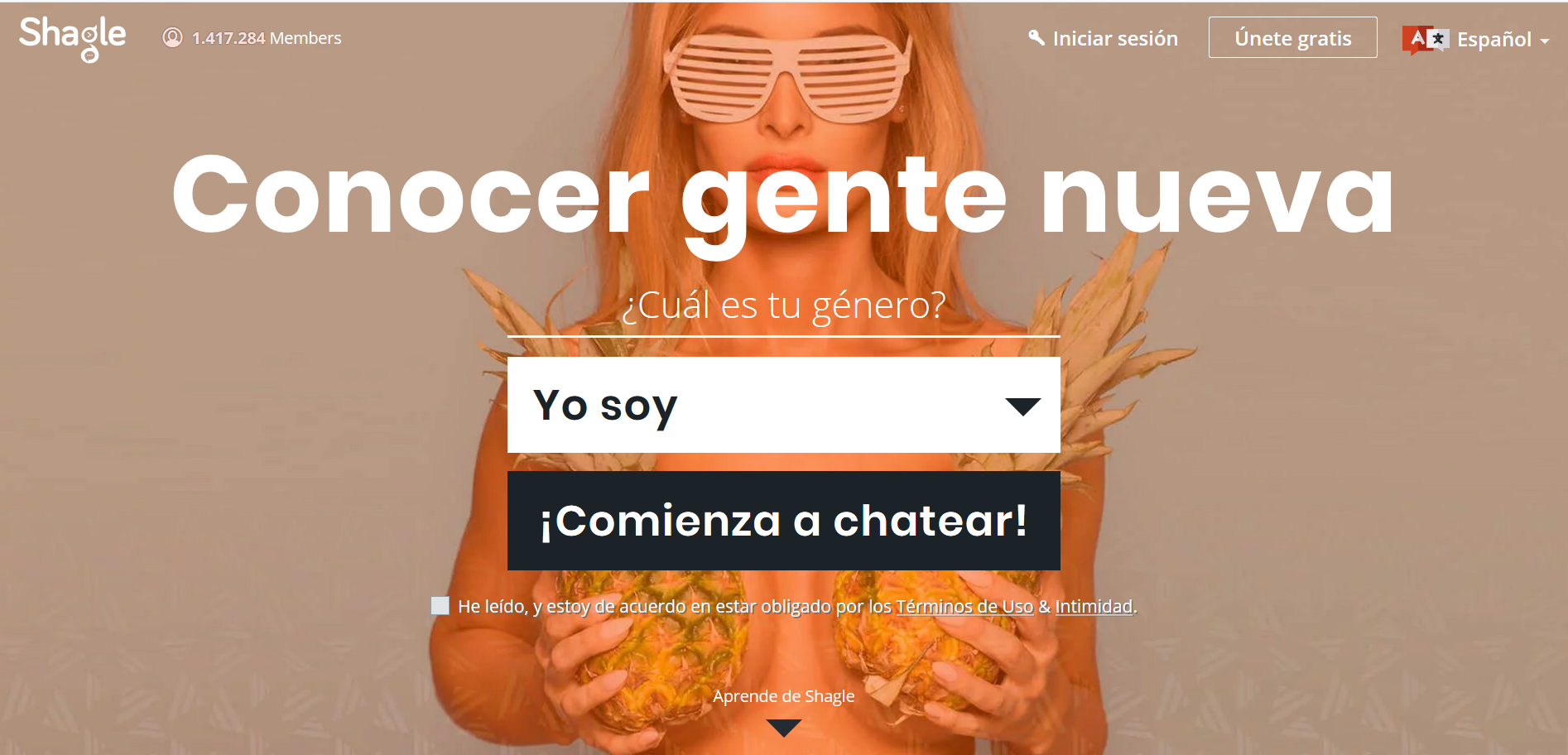 Shagle: ¿La mejor alternativa a Chatroulette?